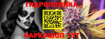гидропоника Новодвинск