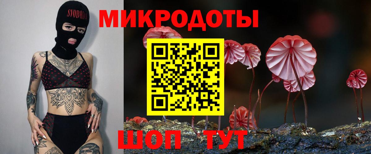Пушкино  Псилоцибиновые грибы ЛСД  Вход с VPN 